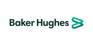 Novel Non-Metallic Solution aka Baker Hughes